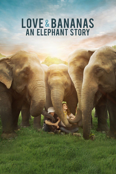 Póster de Love & Bananas: An Elephant Story