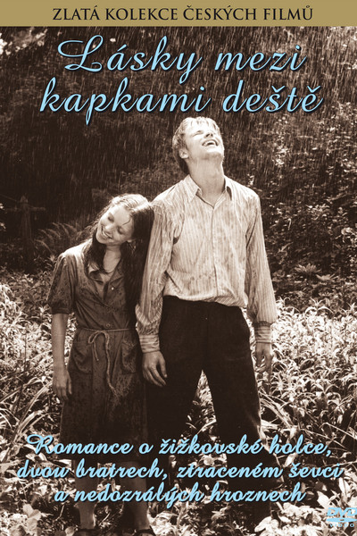 Póster de Love Between the Raindrops
