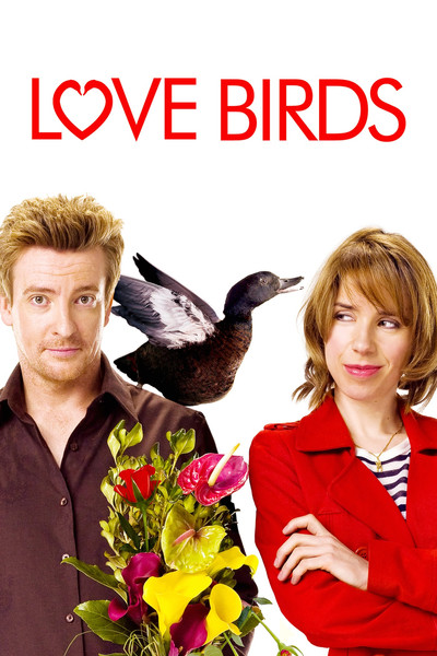 Póster de Love Birds