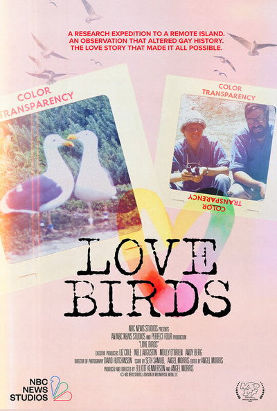 Póster de Love Birds