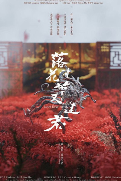 Póster de Love Ever After