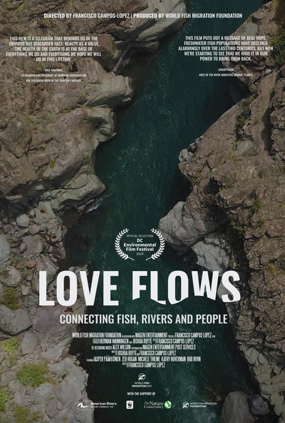 Póster de Love Flows