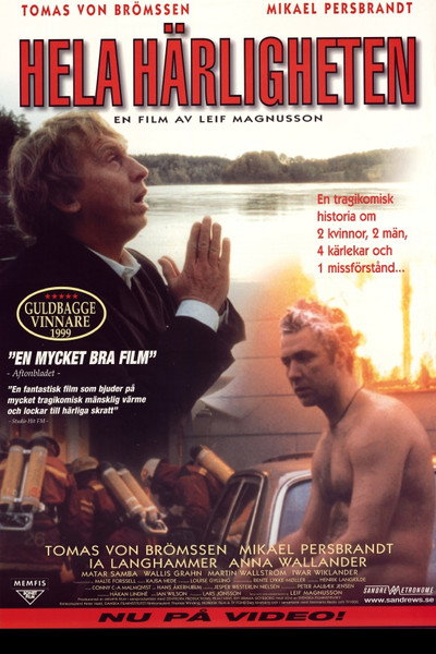 Póster de Love Fools