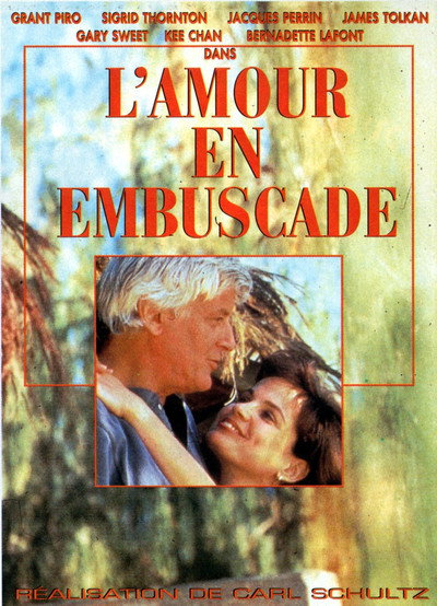 Póster de Love in Ambush