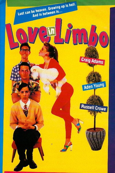 Póster de Love in Limbo