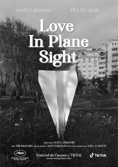 Póster de Love in Plane Sight