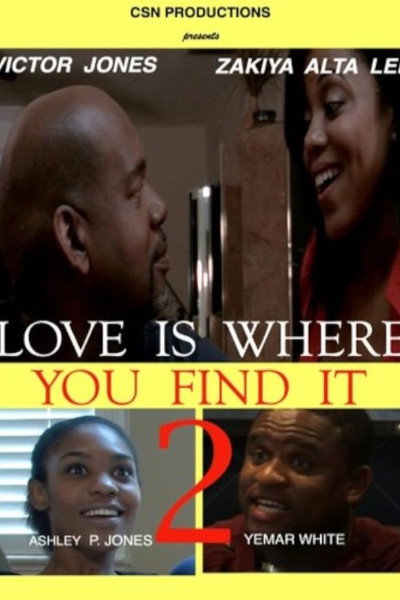 Póster de Love Is Where You Find It 2