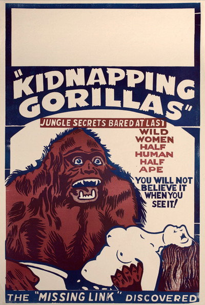 Póster de Love Life of a Gorilla