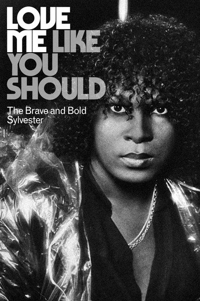 Póster de Love Me Like You Should: The Brave and Bold Sylvester