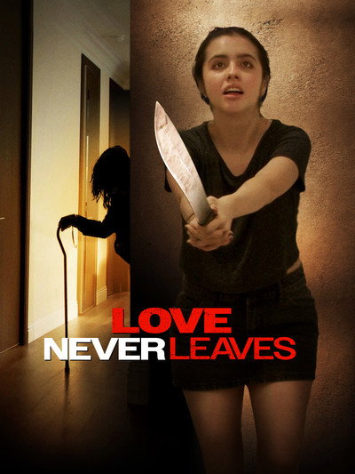 Póster de Love Never Leaves