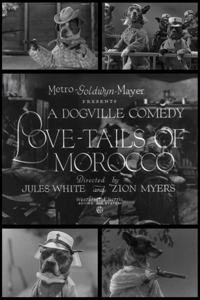 Póster de Love-Tails of Morocco