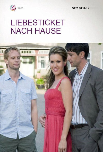 Póster de Love Trip Home