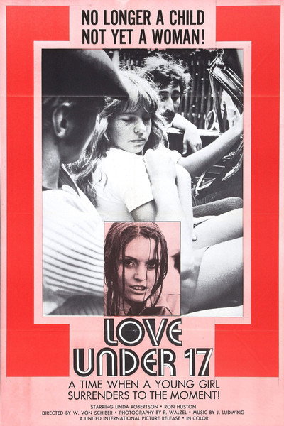 Póster de Love Under 17