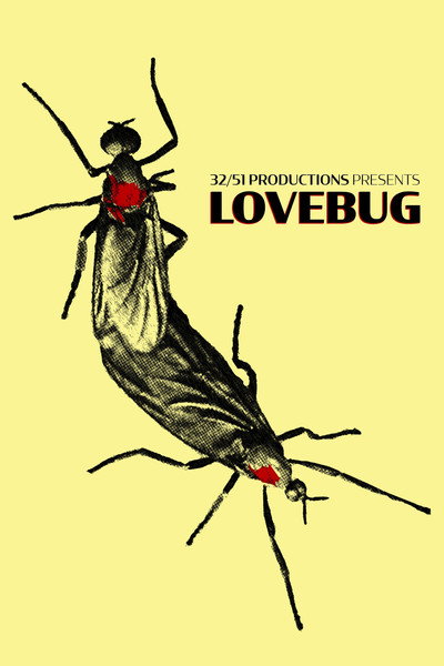 Póster de Lovebug