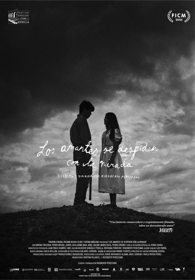 Póster de Lovers Bid Farewell with a Glance
