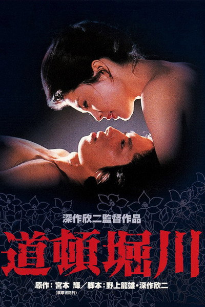 Póster de Lovers Lost