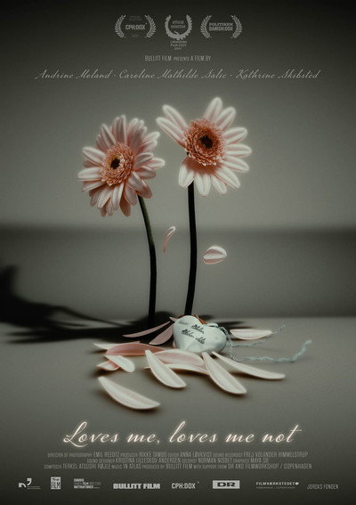 Póster de Loves Me, Loves Me Not