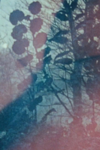 Póster de Lovetape Film