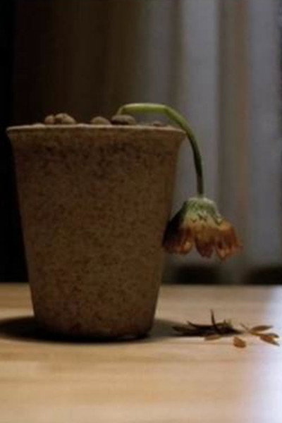 Póster de Älskade blomma