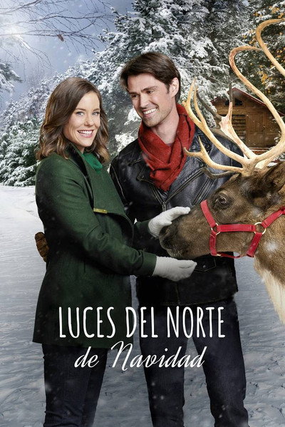 Póster de Luces del norte de Navidad