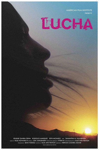 Póster de Lucha