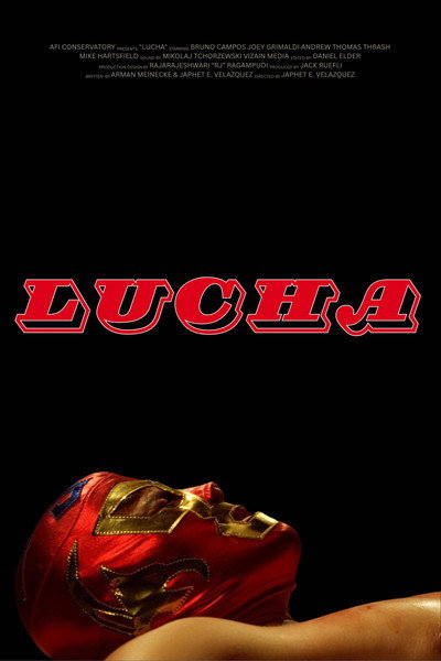 Póster de Lucha