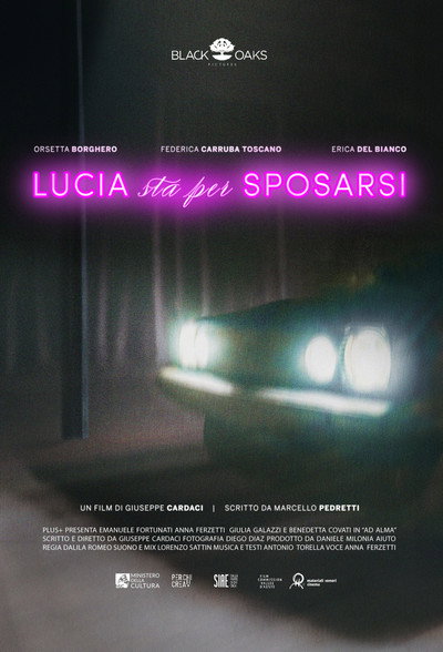 Póster de Lucia sta per sposarsi