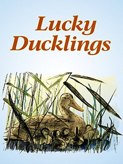 Póster de Lucky Ducklings