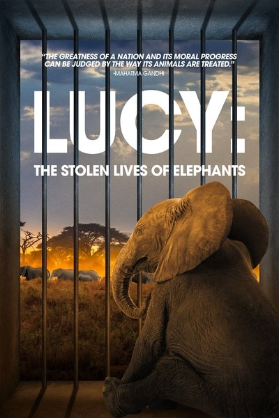 Póster de Lucy: The Stolen Lives of Elephants
