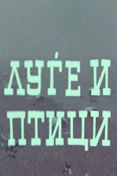 Póster de Lugje i ptici
