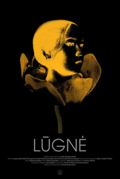 Póster de Lugne