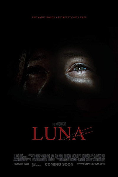 Póster de Luna