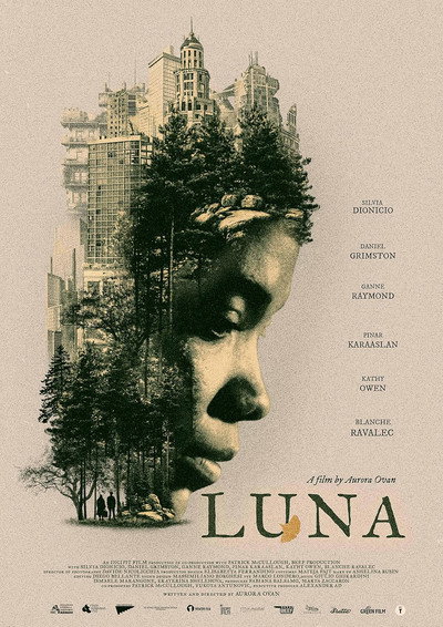 Póster de Luna