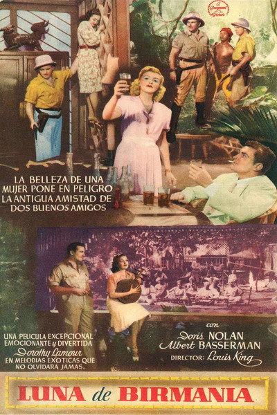 Póster de Luna de Birmania