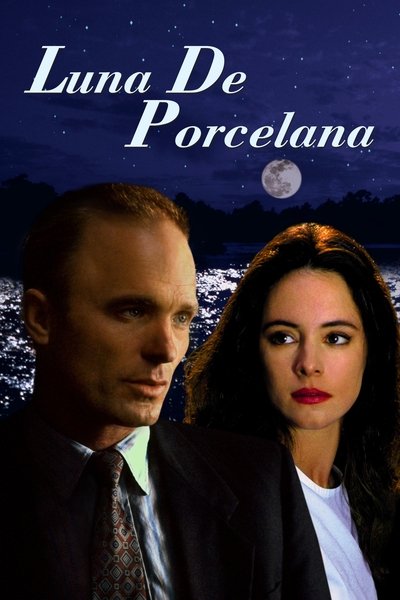 Póster de Luna de porcelana