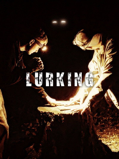 Póster de Lurking