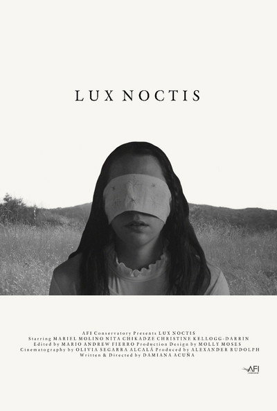Póster de Lux Noctis