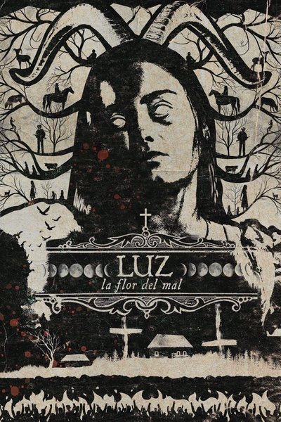 Póster de Luz