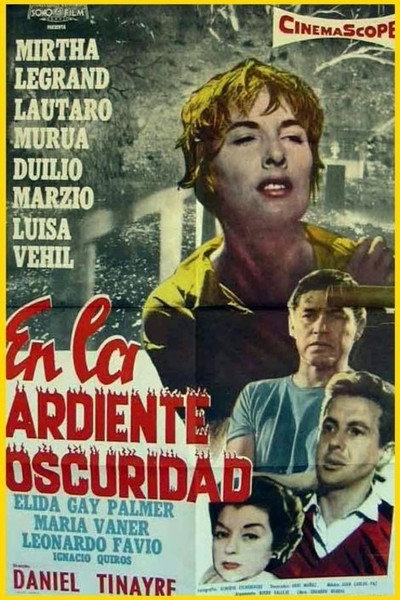 Póster de Luz en la sombra