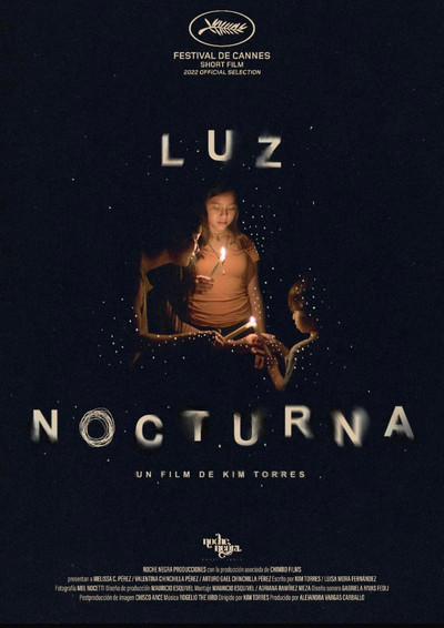 Póster de Luz Nocturna