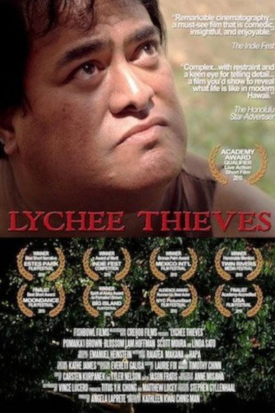 Póster de Lychee Thieves