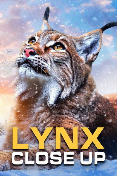 Póster de Lynx - Close Up