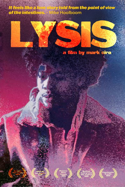 Póster de Lysis