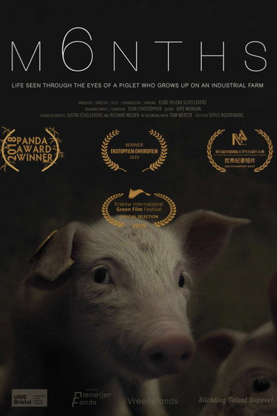 Póster de M6nths