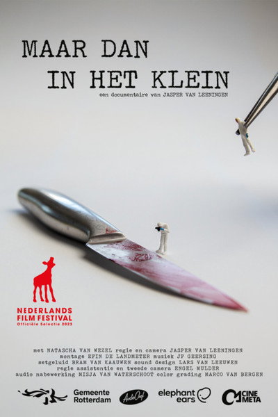 Póster de Maar dan in het klein