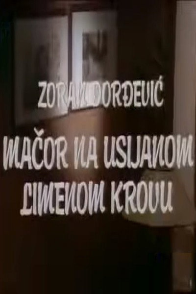 Póster de Macor na usijanom limenom krovu