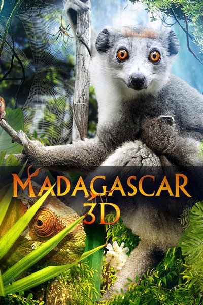 Póster de Madagascar 3D