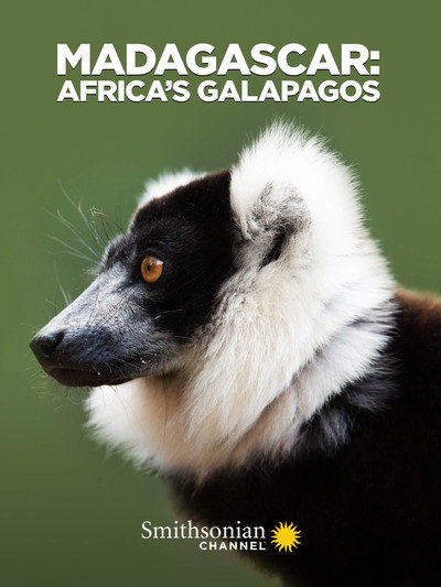 Póster de Madagascar: Africa's Galapagos