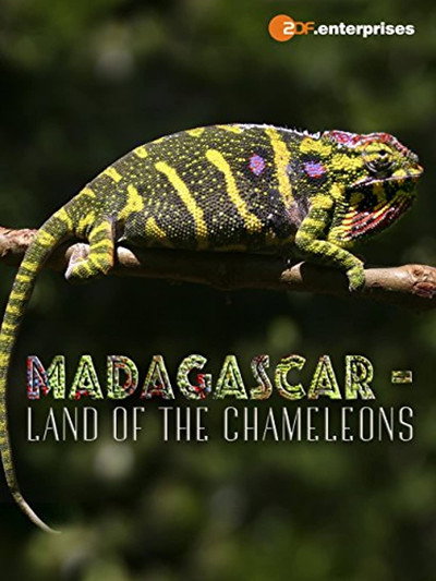 Póster de Madagascar: Land of the Chameleons