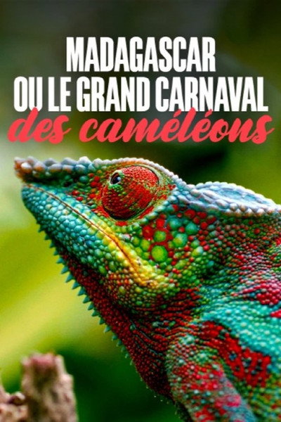 Póster de Madagascar ou le grand carnaval des caméléons